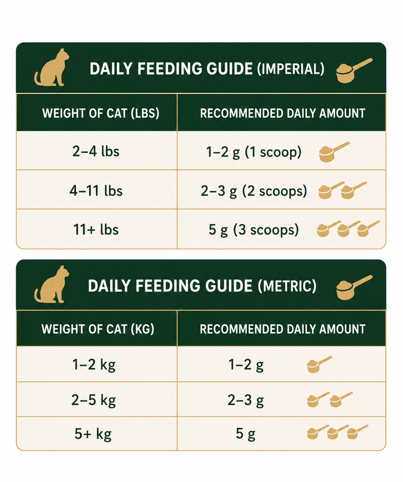 Daily Feeding Guide